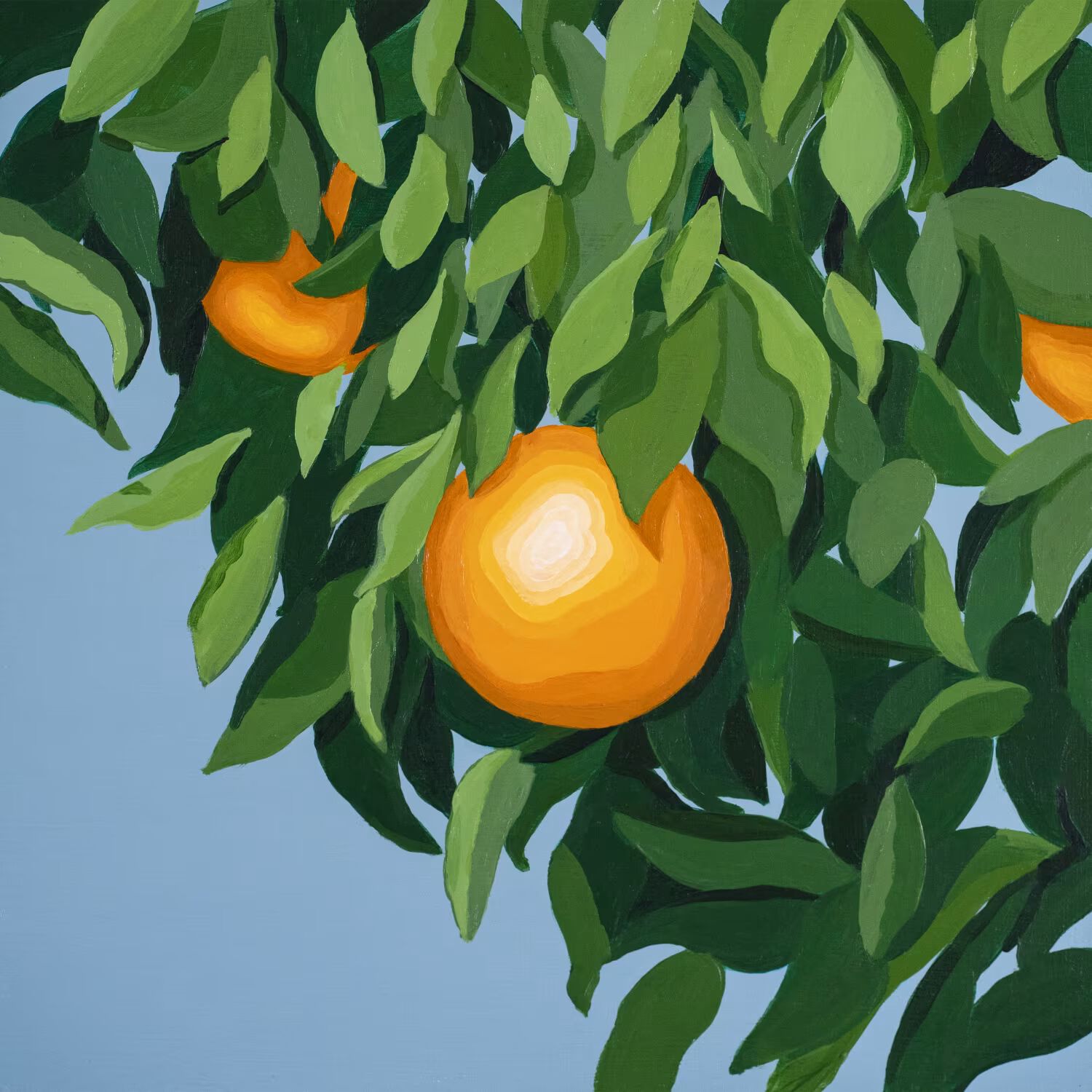 Moli Del Tro Records